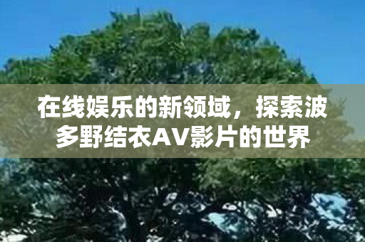 在线娱乐的新领域,探索波多野结衣AV影片的世界 在线娱乐的新领域,探索波多野结衣AV影片的世界