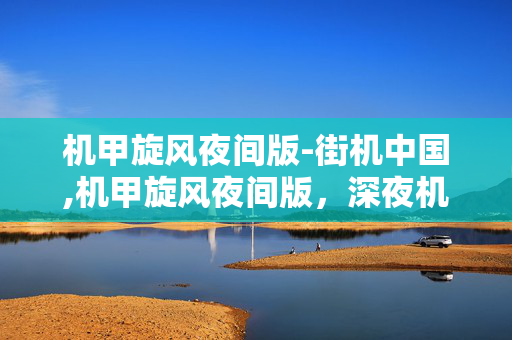 机甲旋风夜间版-街机中国,机甲旋风夜间版，深夜机甲爱好者的专属战场
