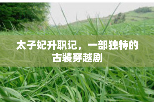 太子妃升职记,一部独特的古装穿越剧 太子妃升职记,一部独特的古装穿越剧