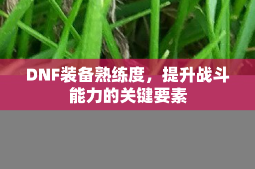 DNF装备熟练度，提升战斗能力的关键要素