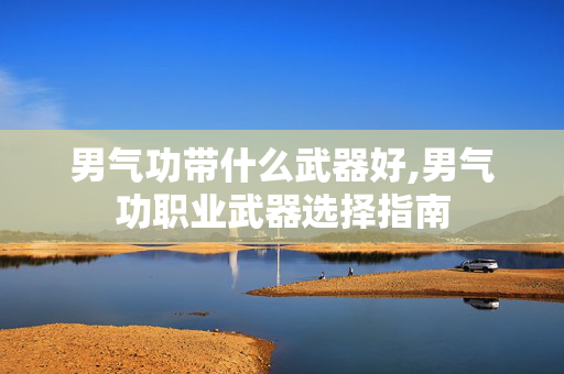 男气功带什么武器好,男气功职业武器选择指南 男气功带什么武器好,男气功职业武器选择指南