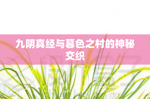 九阴真经与暮色之村的神秘交织 九阴真经与暮色之村的神秘交织