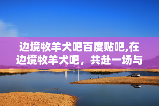 边境牧羊犬吧百度贴吧,在边境牧羊犬吧,共赴一场与边牧的温暖之约 边境牧羊犬吧百度贴吧,在边境牧羊犬吧,共赴一场与边牧的温暖之约