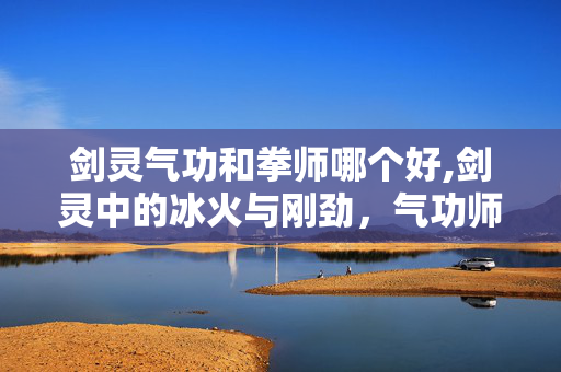 剑灵气功和拳师哪个好,剑灵中的冰火与刚劲，气功师与拳师的职业风华