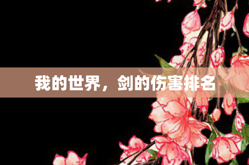 我的世界，剑的伤害排名