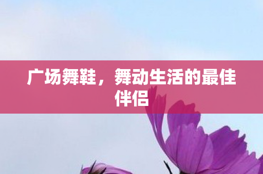 广场舞鞋,舞动生活的最佳伴侣 广场舞鞋,舞动生活的最佳伴侣