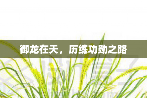 御龙在天,历练功勋之路 御龙在天,历练功勋之路