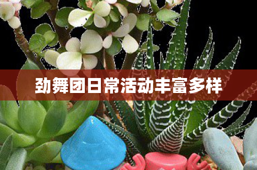 劲舞团日常活动丰富多样 劲舞团日常活动丰富多样