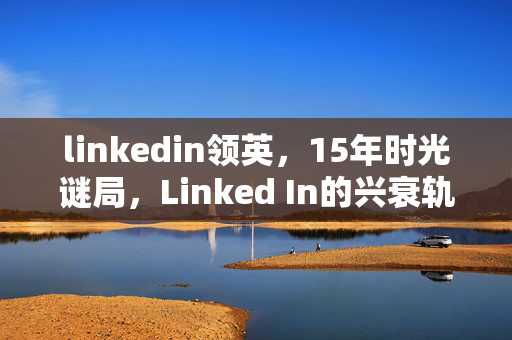 linkedin领英，15年时光谜局，Linked In的兴衰轨迹，泪目见证游戏界的沧海桑田