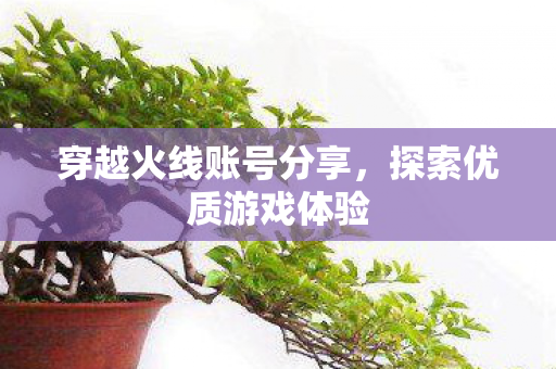 穿越火线账号分享,探索优质游戏体验 穿越火线账号分享,探索优质游戏体验