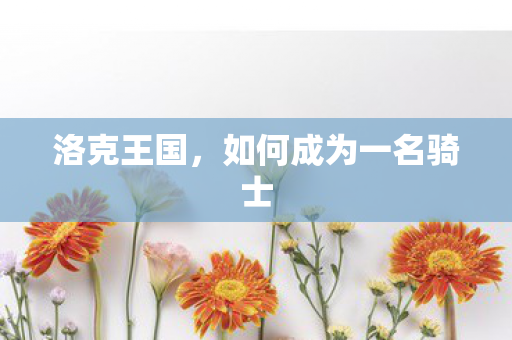 洛克王国,如何成为一名骑士 洛克王国,如何成为一名骑士