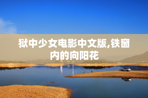 狱中少女电影中文版,铁窗内的向阳花