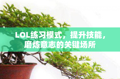 LOL练习模式,提升技能,磨炼意志的关键场所 LOL练习模式,提升技能,磨炼意志的关键场所