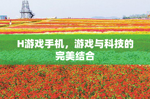 H游戏手机，游戏与科技的完美结合