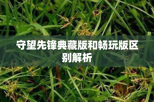 守望先锋典藏版和畅玩版区别解析 守望先锋典藏版和畅玩版区别解析