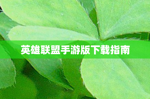 英雄联盟手游版下载指南 英雄联盟手游版下载指南