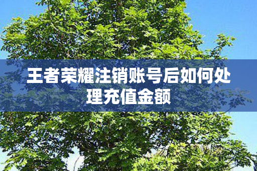 王者荣耀注销账号后如何处理充值金额