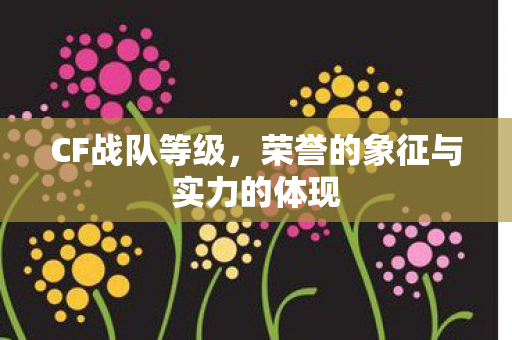 CF战队等级,荣誉的象征与实力的体现 CF战队等级,荣誉的象征与实力的体现