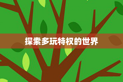 探索多玩特权的世界 探索多玩特权的世界