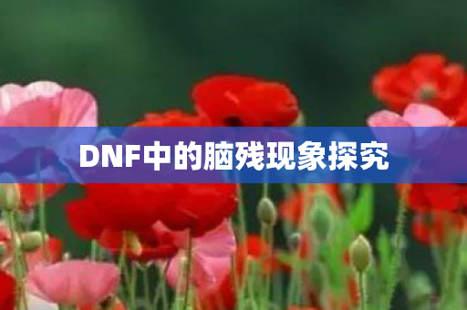 DNF中的脑残现象探究 DNF中的脑残现象探究