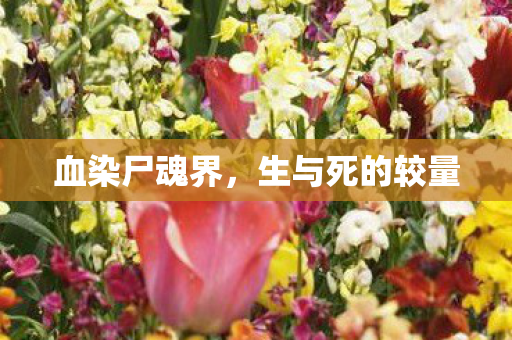 血染尸魂界，生与死的较量