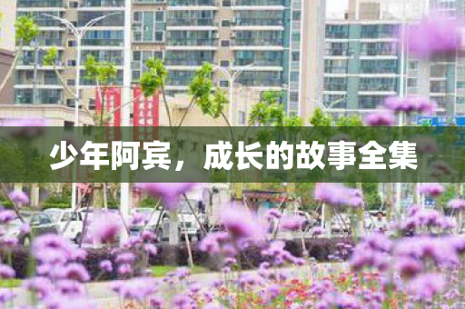 少年阿宾,成长的故事全集 少年阿宾,成长的故事全集