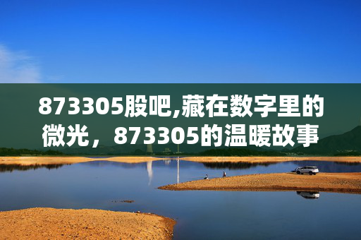 873305股吧,藏在数字里的微光,873305的温暖故事 873305股吧,藏在数字里的微光,873305的温暖故事