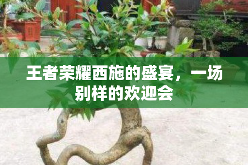 王者荣耀西施的盛宴，一场别样的欢迎会