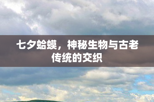 七夕蛤蟆,神秘生物与古老传统的交织 七夕蛤蟆,神秘生物与古老传统的交织