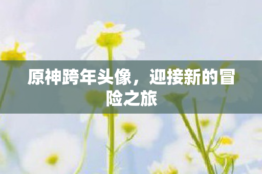 原神跨年头像,迎接新的冒险之旅 原神跨年头像,迎接新的冒险之旅