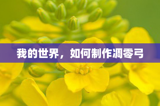 我的世界,如何制作凋零弓 我的世界,如何制作凋零弓