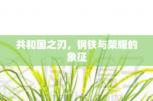 共和国之刃,钢铁与荣耀的象征 共和国之刃,钢铁与荣耀的象征
