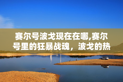 赛尔号波戈现在在哪,赛尔号里的狂暴战魂,波戈的热血印记 赛尔号波戈现在在哪,赛尔号里的狂暴战魂,波戈的热血印记