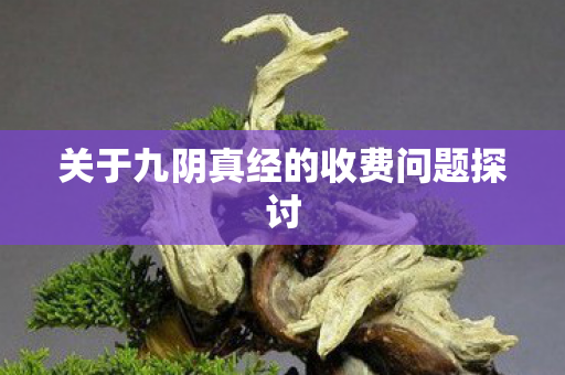 关于九阴真经的收费问题探讨