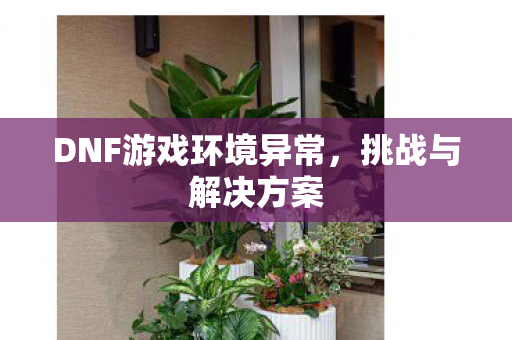 DNF游戏环境异常,挑战与解决方案 DNF游戏环境异常,挑战与解决方案