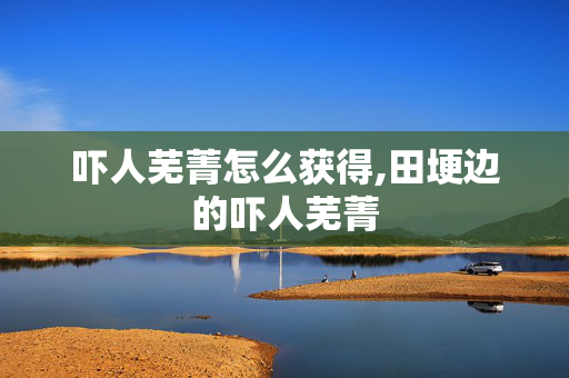 吓人芜菁怎么获得,田埂边的吓人芜菁