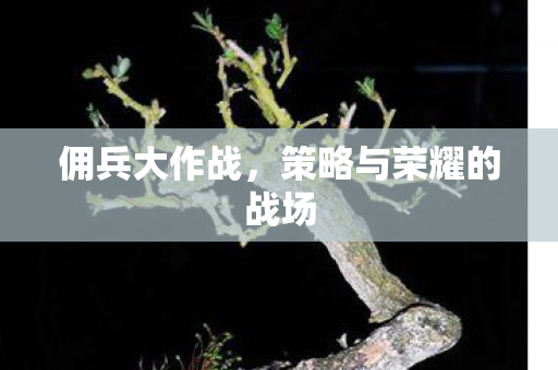 佣兵大作战,策略与荣耀的战场 佣兵大作战,策略与荣耀的战场