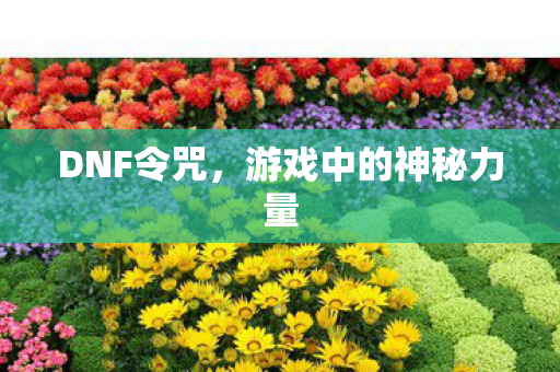 DNF令咒,游戏中的神秘力量 DNF令咒,游戏中的神秘力量