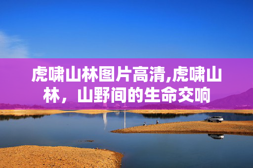 虎啸山林图片高清,虎啸山林,山野间的生命交响 虎啸山林图片高清,虎啸山林,山野间的生命交响