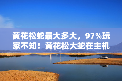 黄花松蛇最大多大,97%玩家不知!黄花松大蛇在主机/PC/手游的操控差距竟差300%! 黄花松蛇最大多大,97%玩家不知!黄花松大蛇在主机/PC/手游的操控差距竟差300%!