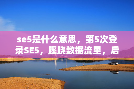 se5是什么意思，第5次登录SE5，蹊跷数据流里，后背发凉的十年逃亡真相