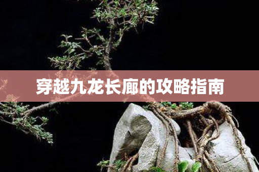 穿越九龙长廊的攻略指南 穿越九龙长廊的攻略指南