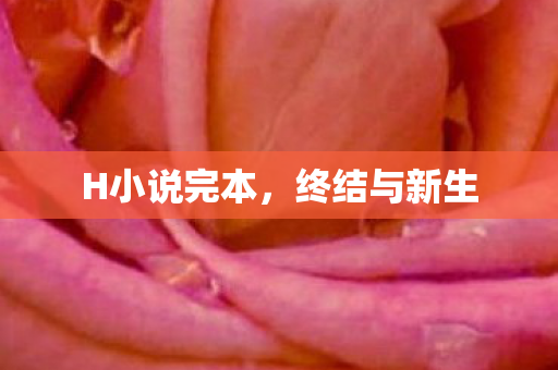 H小说完本,终结与新生 H小说完本,终结与新生