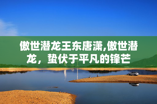傲世潜龙王东唐潇,傲世潜龙，蛰伏于平凡的锋芒
