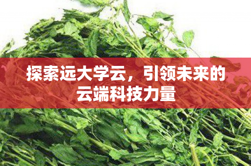 探索远大学云,引领未来的云端科技力量 探索远大学云,引领未来的云端科技力量