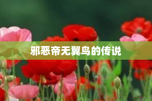 邪恶帝无翼鸟的传说 邪恶帝无翼鸟的传说