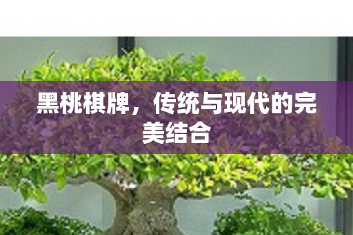 黑桃棋牌,传统与现代的完美结合 黑桃棋牌,传统与现代的完美结合