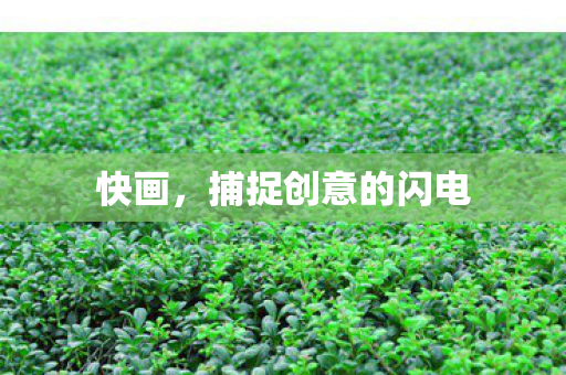 快画,捕捉创意的闪电 快画,捕捉创意的闪电