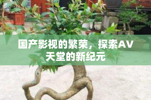 国产影视的繁荣,探索AV天堂的新纪元 国产影视的繁荣,探索AV天堂的新纪元