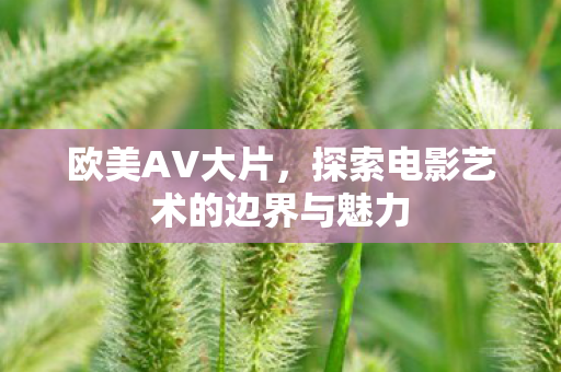 欧美AV大片,探索电影艺术的边界与魅力 欧美AV大片,探索电影艺术的边界与魅力